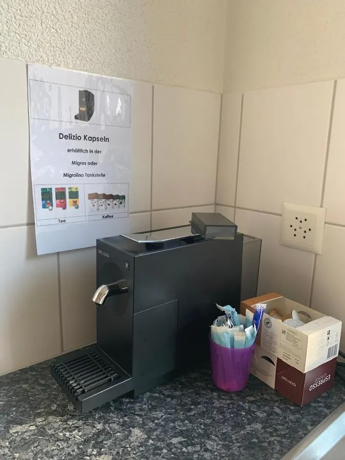 Ferienwohnung 2 in Bern 0*,